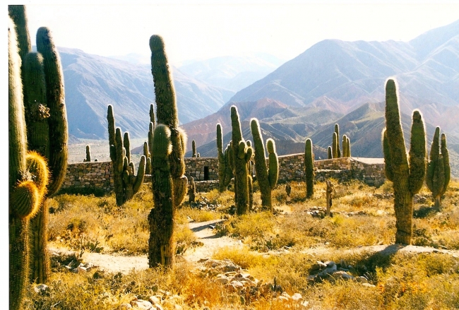 Viajes a Salta desde Cordoba