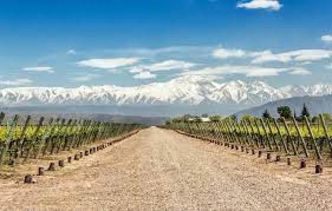 Viaje Grupal a  Mendoza