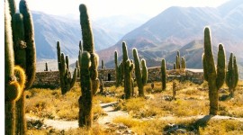 Viajes a Salta desde Cordoba