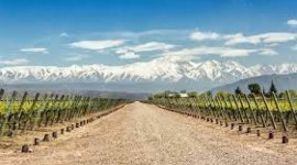 Viaje Grupal a  Mendoza