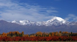 Viajes a Mendoza en bus